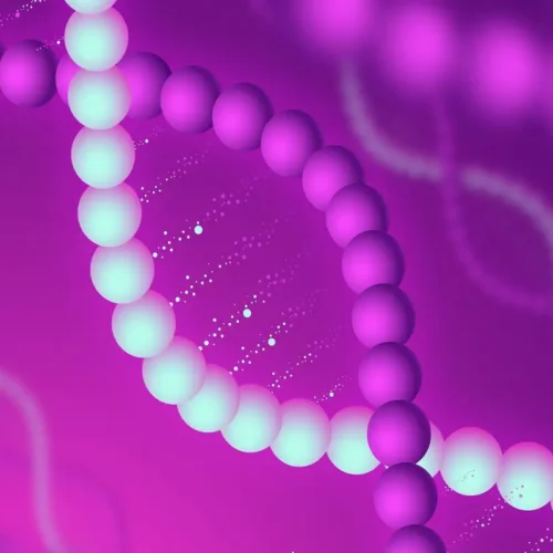 short segments of newly synthesized dna are joined into a continuous strand by _____.